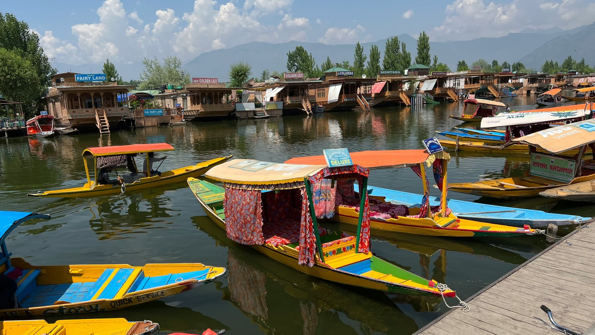 Colourful Docked Shikaras